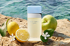 Dolce and Gabbana Light Blue
